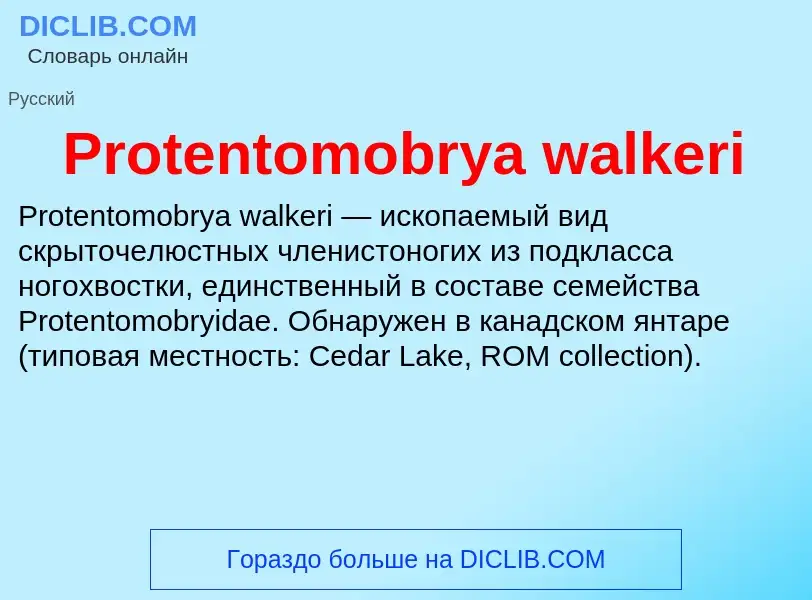 Что такое Protentomobrya walkeri - определение