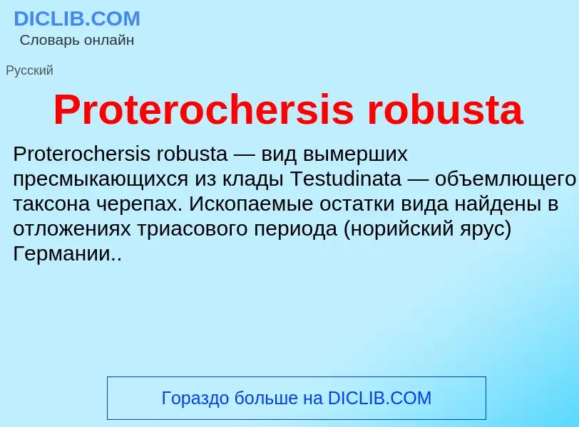 Что такое Proterochersis robusta - определение