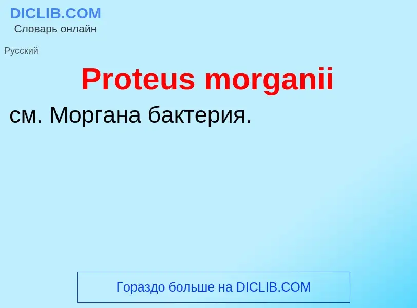 Что такое Proteus morganii - определение