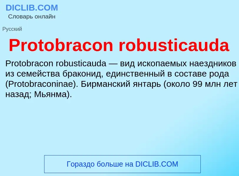 Wat is Protobracon robusticauda - definition