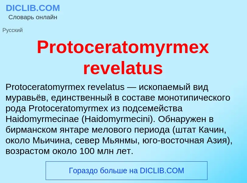 Wat is Protoceratomyrmex revelatus - definition