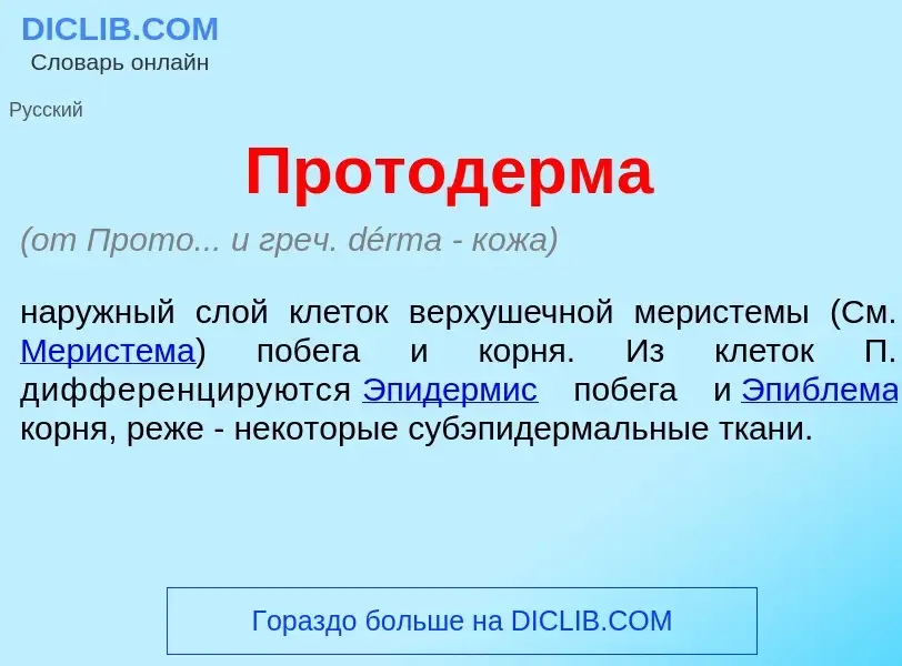 Что такое Протод<font color="red">е</font>рма - определение