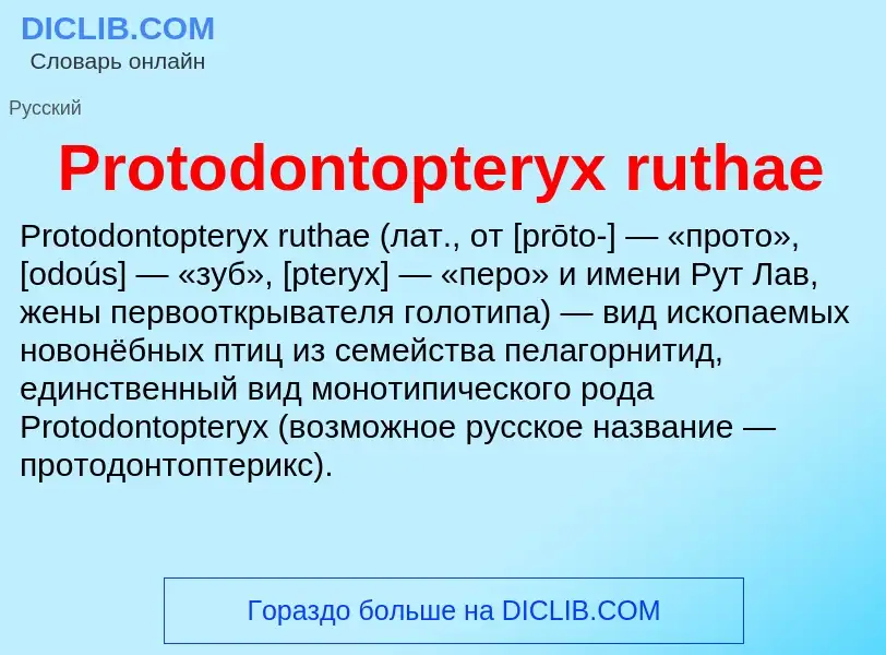 Wat is Protodontopteryx ruthae - definition