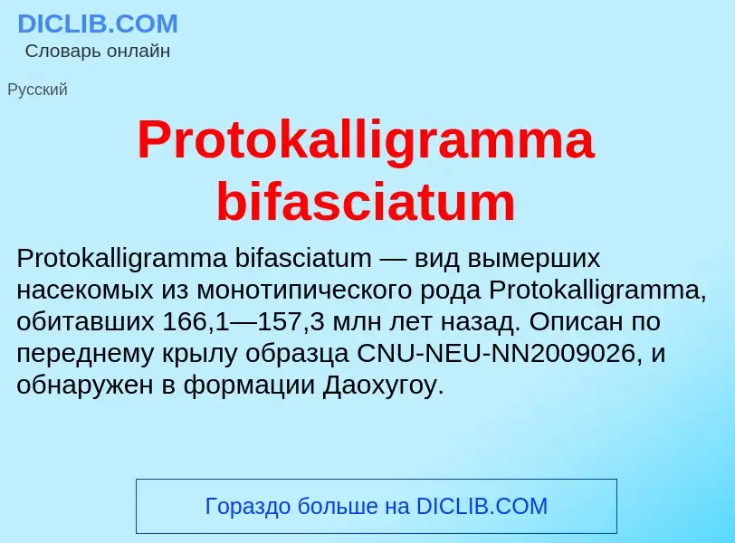 Wat is Protokalligramma bifasciatum - definition