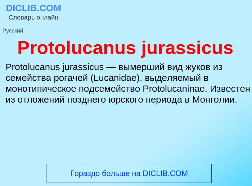 Wat is Protolucanus jurassicus - definition