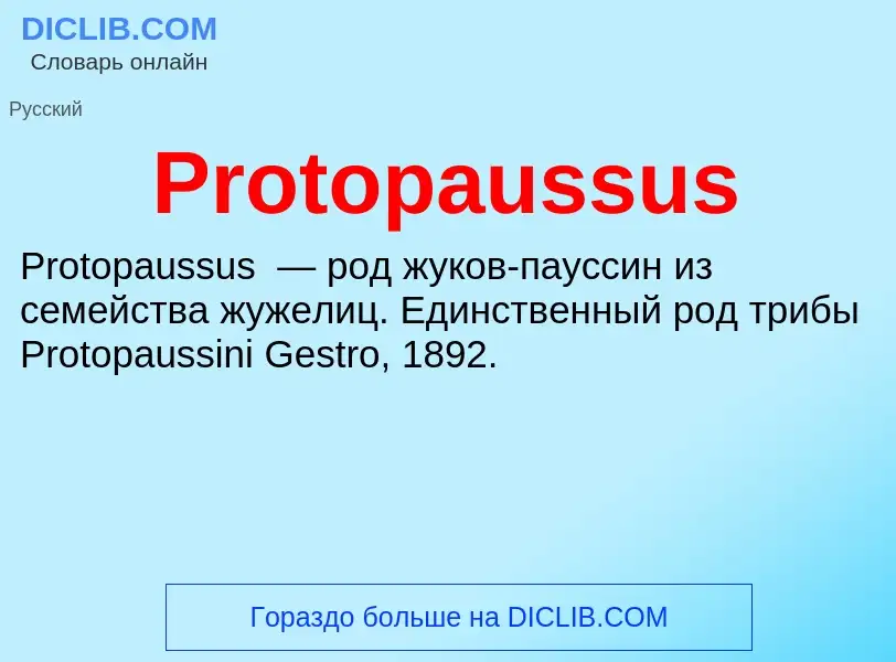 Wat is Protopaussus - definition