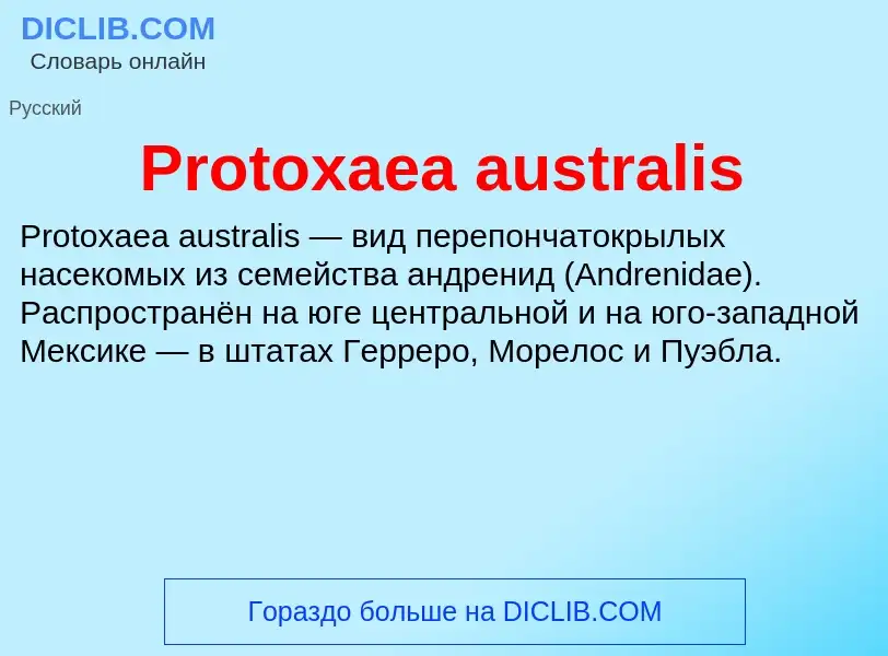 Wat is Protoxaea australis - definition