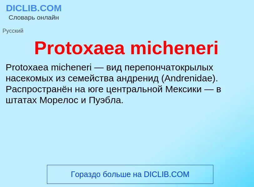 Что такое Protoxaea micheneri - определение