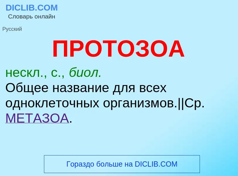 Что такое ПРОТОЗОА - определение