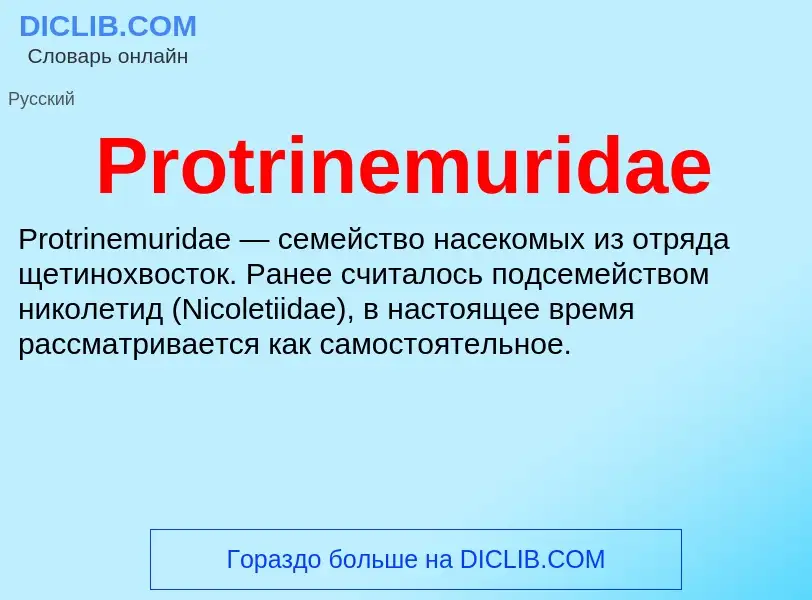 Wat is Protrinemuridae - definition