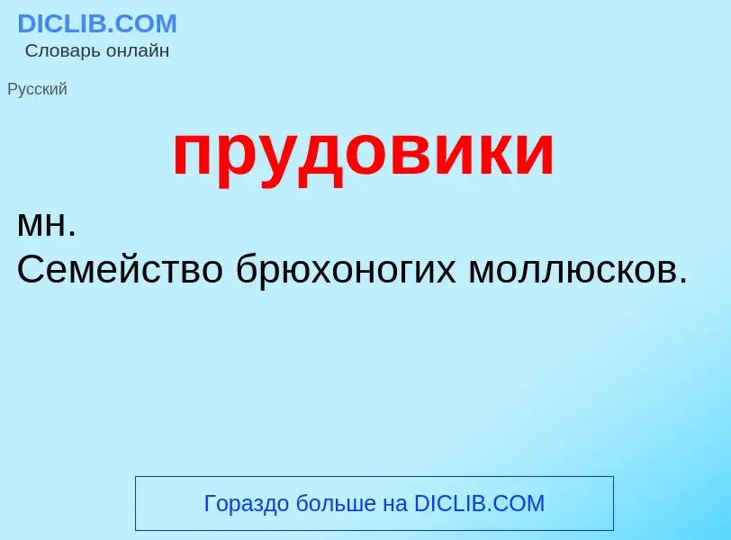 O que é прудовики - definição, significado, conceito