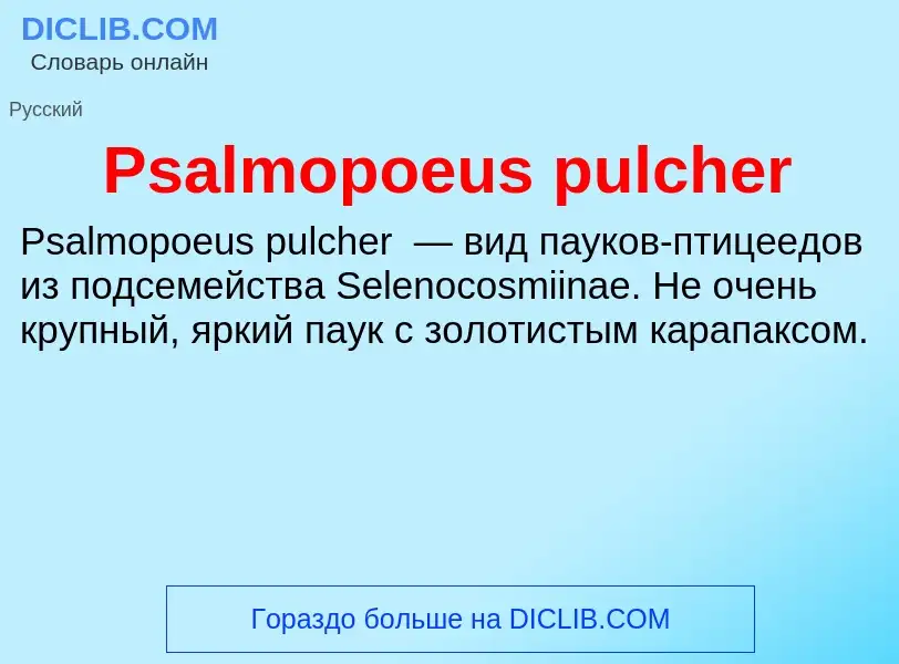 Wat is Psalmopoeus pulcher - definition