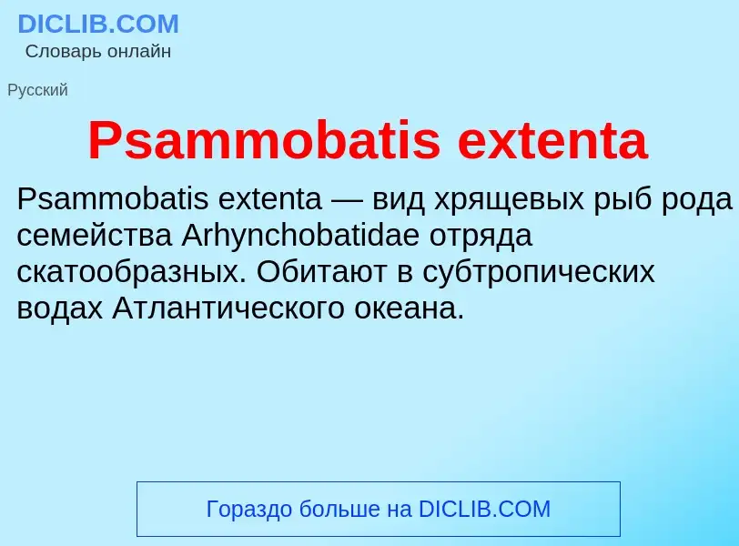 Wat is Psammobatis extenta - definition