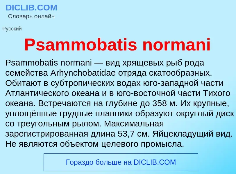 Что такое Psammobatis normani - определение