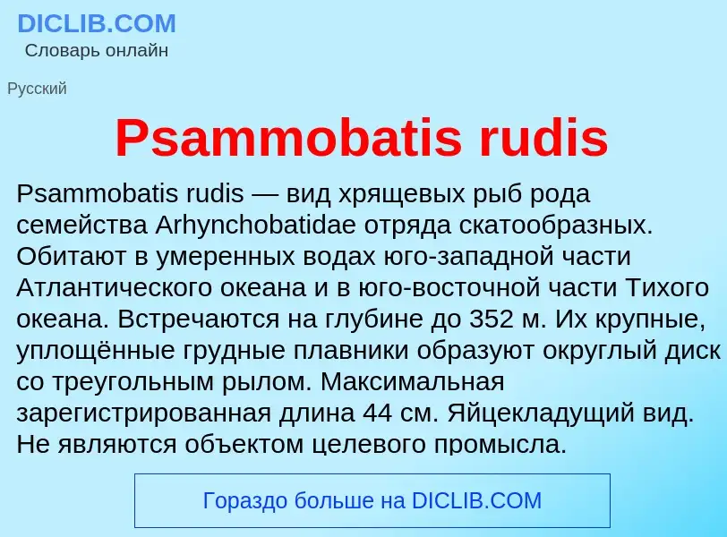 Что такое Psammobatis rudis - определение