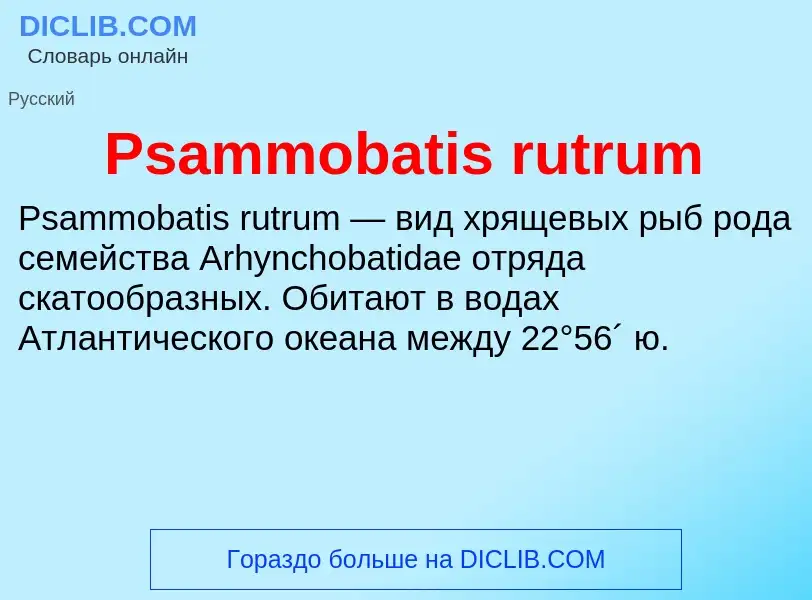 Wat is Psammobatis rutrum - definition