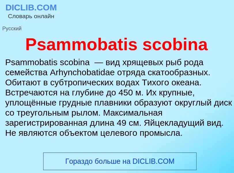 Wat is Psammobatis scobina - definition