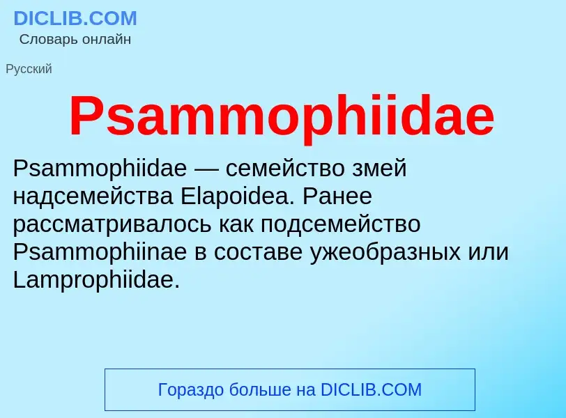 Wat is Psammophiidae - definition