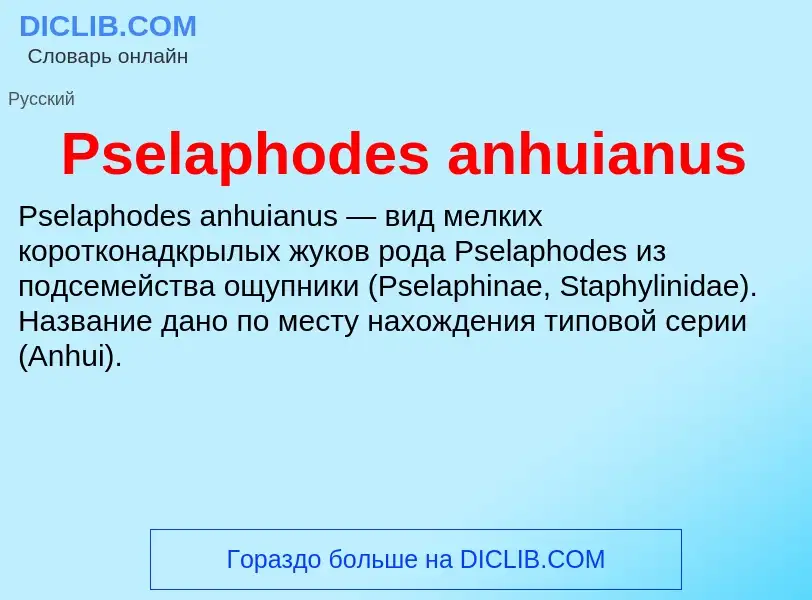 Wat is Pselaphodes anhuianus - definition