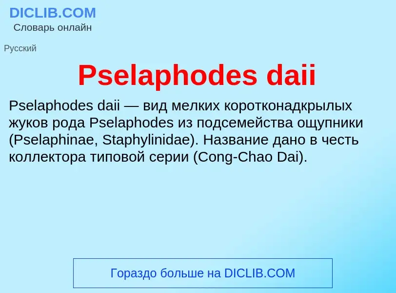 Wat is Pselaphodes daii - definition