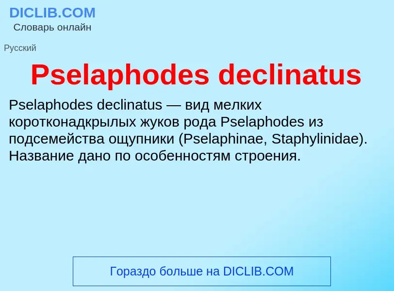 Wat is Pselaphodes declinatus - definition