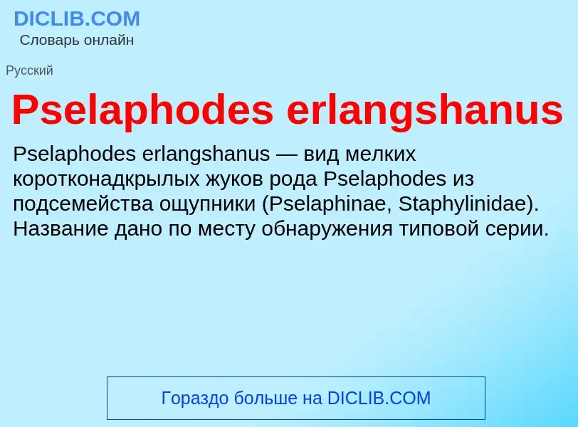 Wat is Pselaphodes erlangshanus - definition