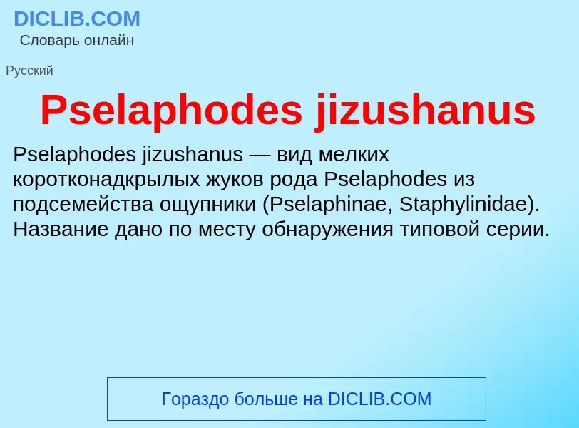 Wat is Pselaphodes jizushanus - definition