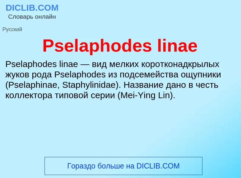 Wat is Pselaphodes linae - definition