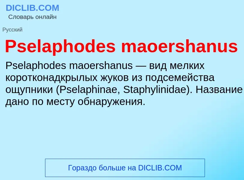 Wat is Pselaphodes maoershanus - definition