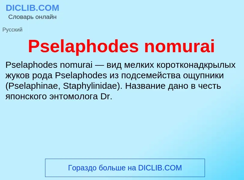 Wat is Pselaphodes nomurai - definition