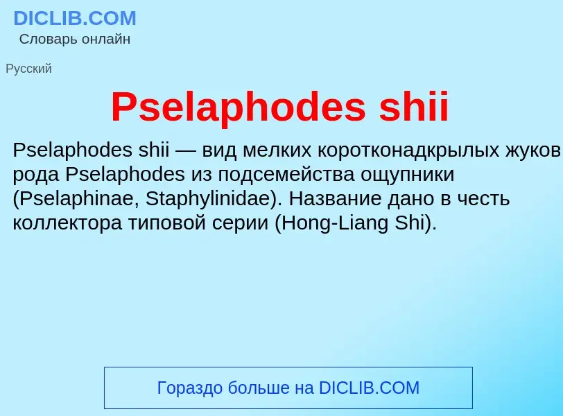 Wat is Pselaphodes shii - definition