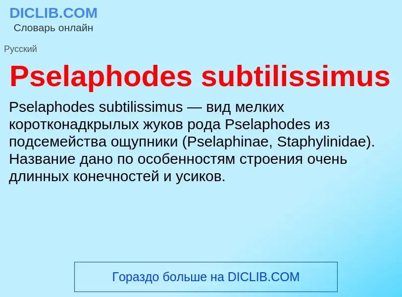 Wat is Pselaphodes subtilissimus - definition