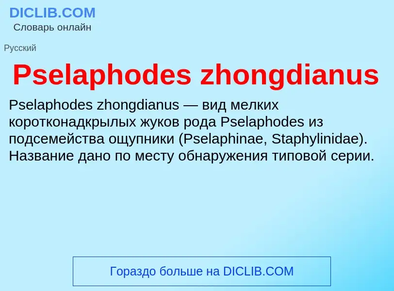 Wat is Pselaphodes zhongdianus - definition