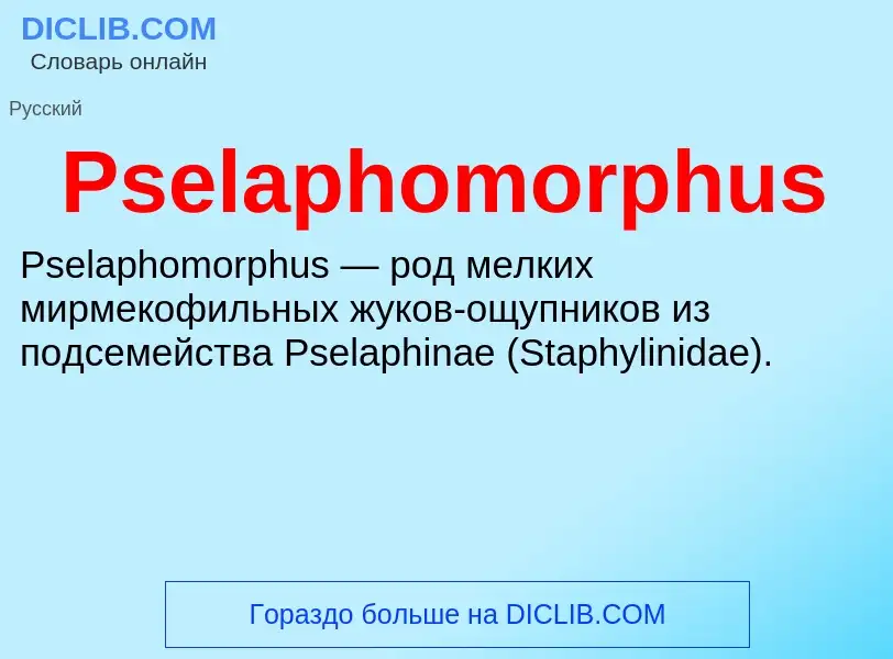 Wat is Pselaphomorphus - definition