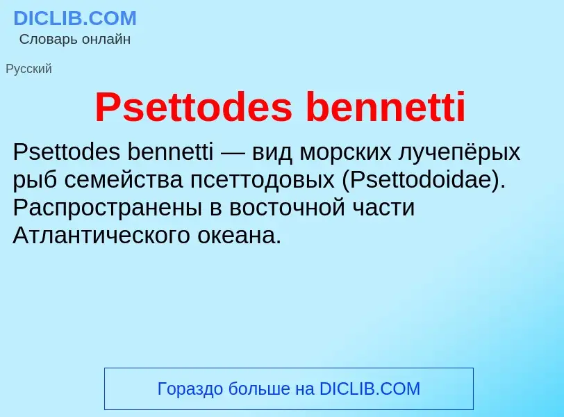 Wat is Psettodes bennetti - definition