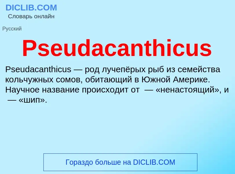 Wat is Pseudacanthicus - definition