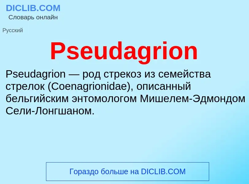 Wat is Pseudagrion - definition