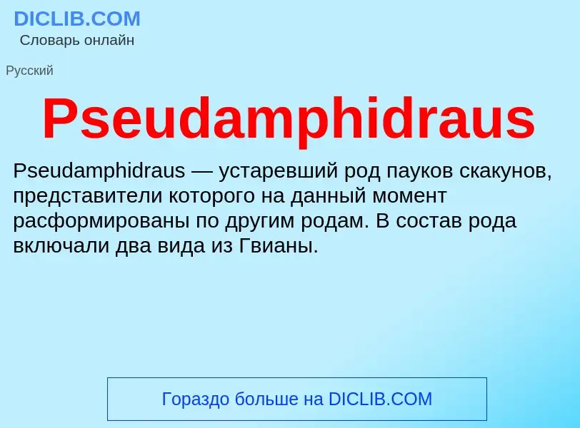 Wat is Pseudamphidraus - definition