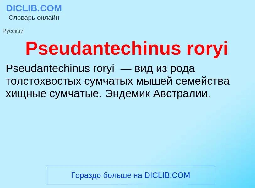 Wat is Pseudantechinus roryi - definition