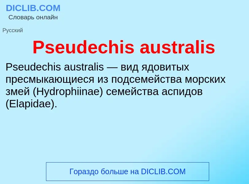 Wat is Pseudechis australis - definition