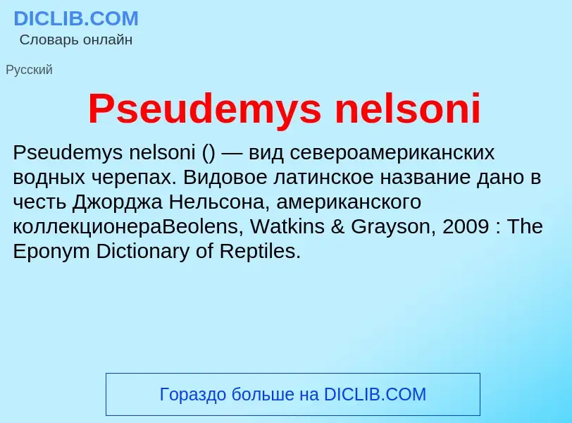 Wat is Pseudemys nelsoni - definition