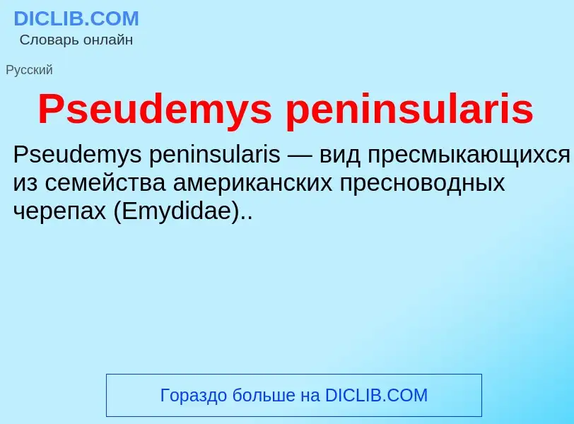 Wat is Pseudemys peninsularis - definition