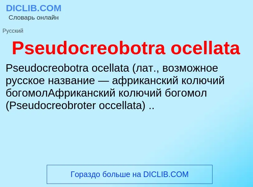 Wat is Pseudocreobotra ocellata - definition