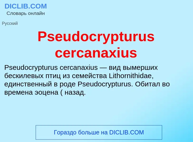 Что такое Pseudocrypturus cercanaxius - определение