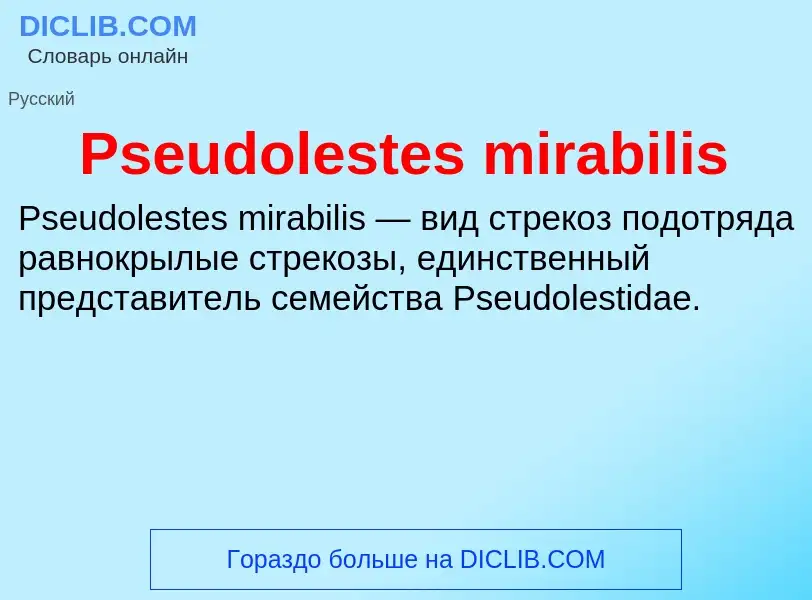 Wat is Pseudolestes mirabilis - definition