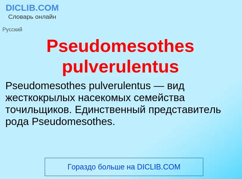 Wat is Pseudomesothes pulverulentus - definition