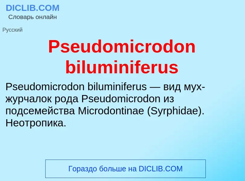 Wat is Pseudomicrodon biluminiferus - definition