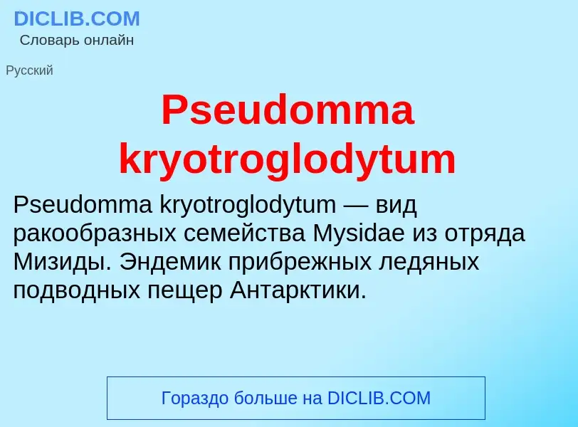 Wat is Pseudomma kryotroglodytum - definition