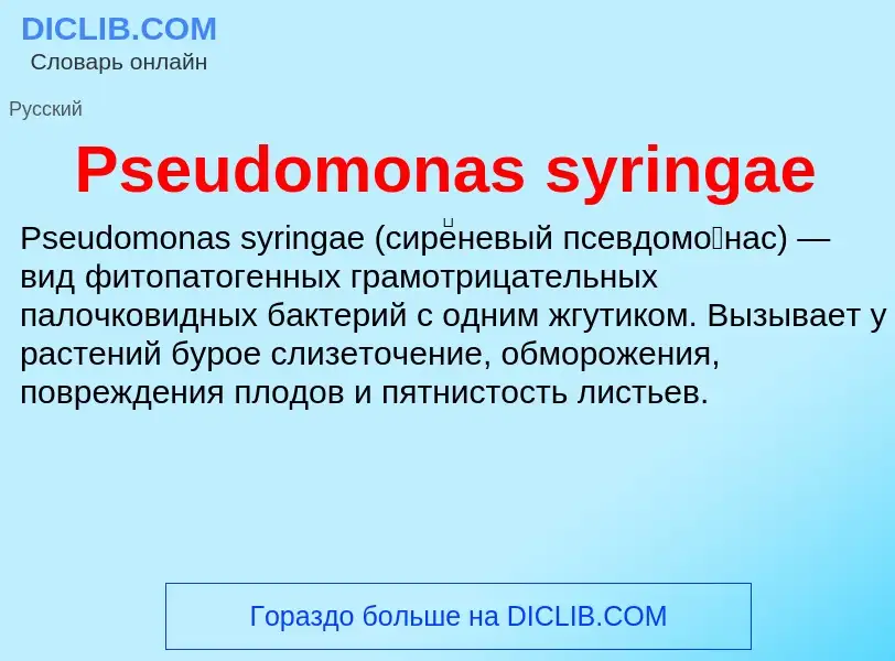 Wat is Pseudomonas syringae - definition