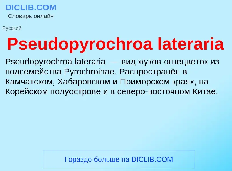 Wat is Pseudopyrochroa lateraria - definition